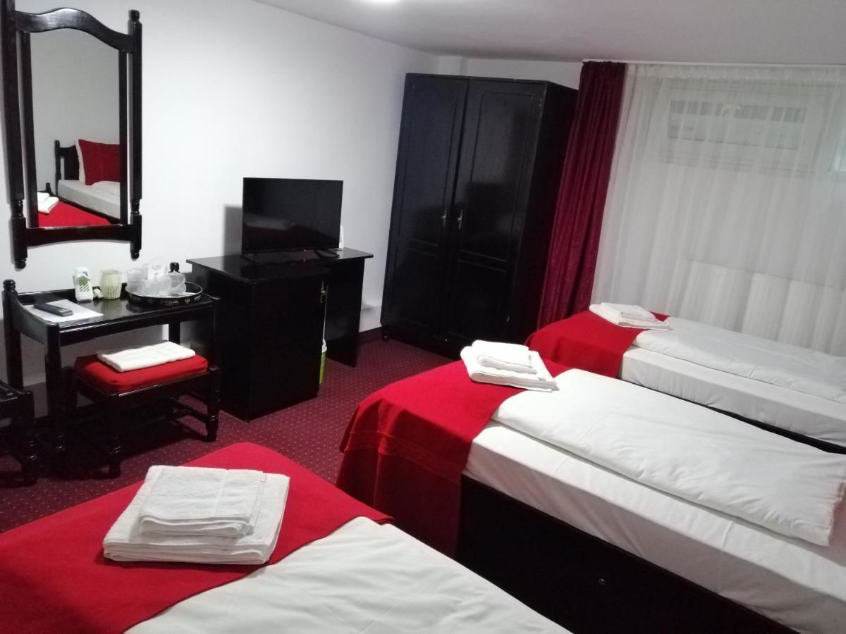 Отели типа «постель и завтрак» Copou Inn Яссы-22