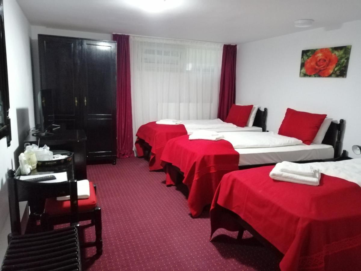Отели типа «постель и завтрак» Copou Inn Яссы-23