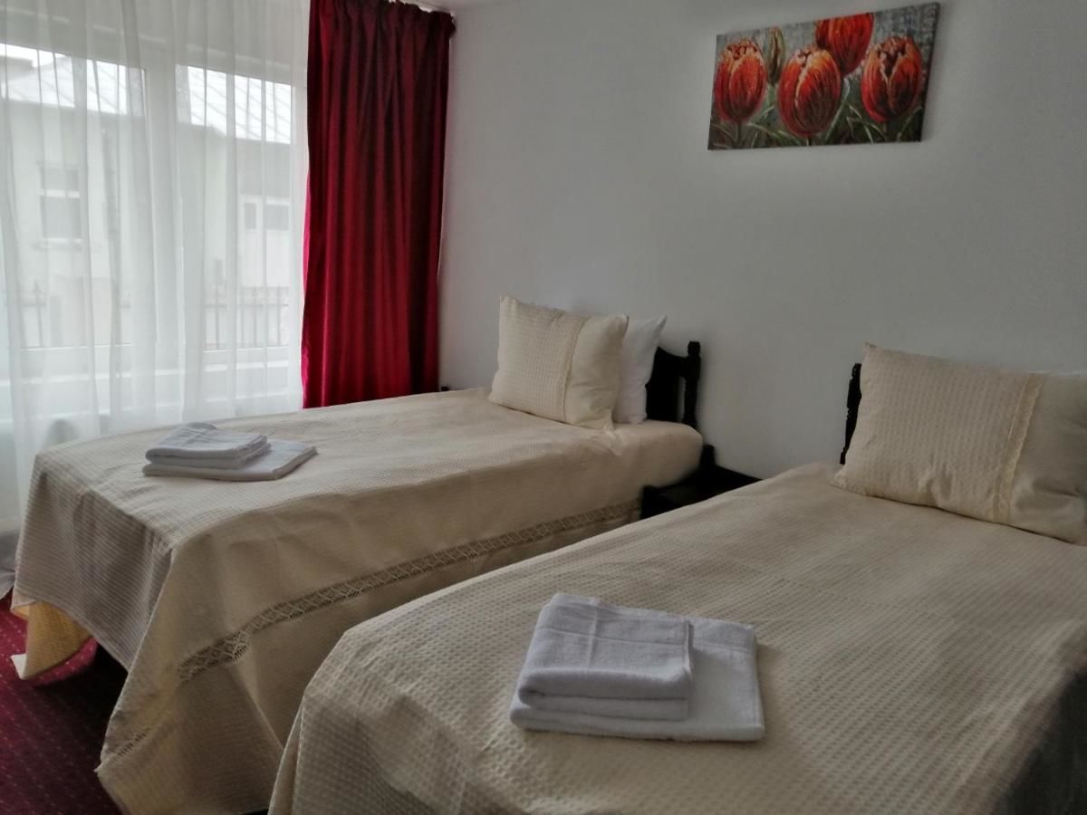 Отели типа «постель и завтрак» Copou Inn Яссы-27