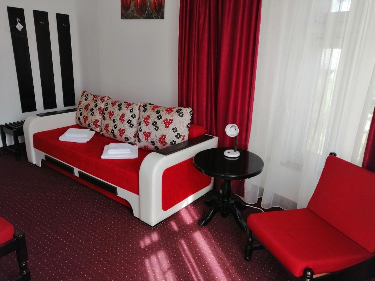 Отели типа «постель и завтрак» Copou Inn Яссы-33