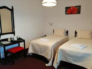 Отели типа «постель и завтрак» Copou Inn Яссы Двухместный номер с 1 кроватью и общей ванной комнатой-8